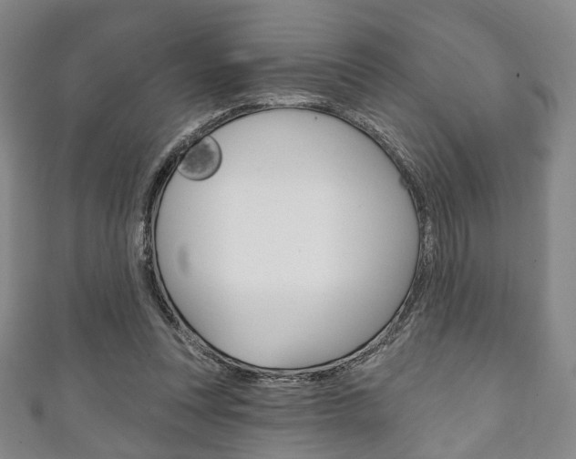 X0000111240351200907021003