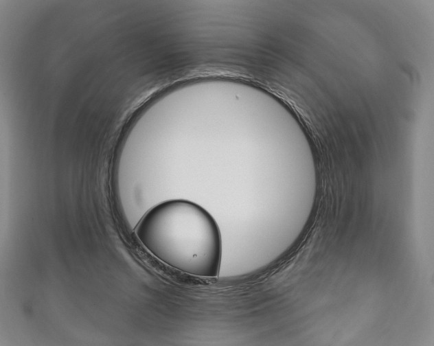 X0000111240352200907021003