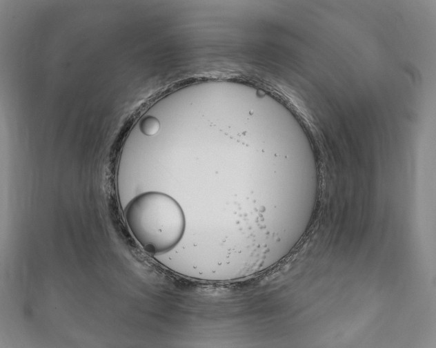 X0000111240354200907021003