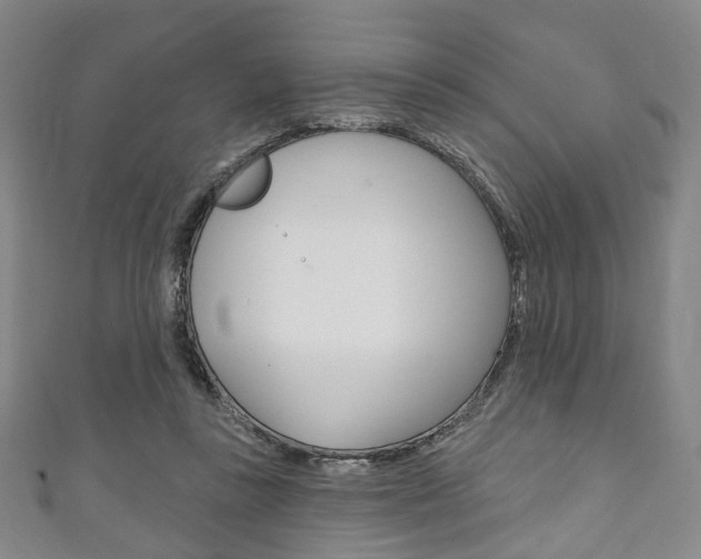 X0000111240355200907021003