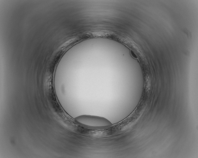 X0000111240356200907021003