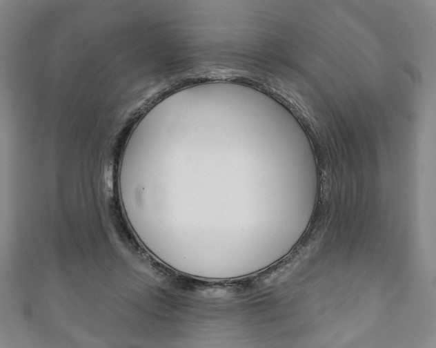 X0000111240358200907021003