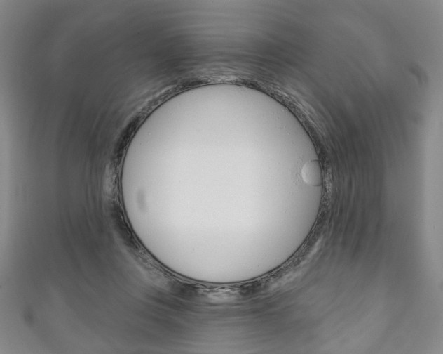 X0000111240359200907021003