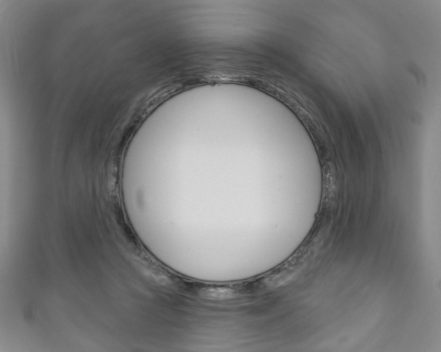 X0000111240361200907021004
