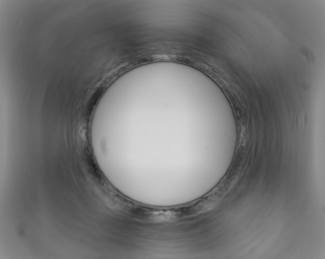 X0000111240363200907021004