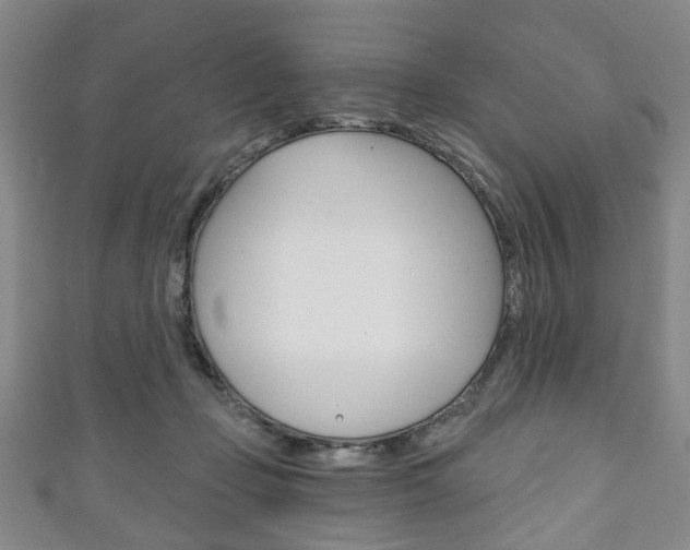X0000111240365200907021004