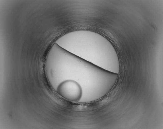X0000111240366200907021004