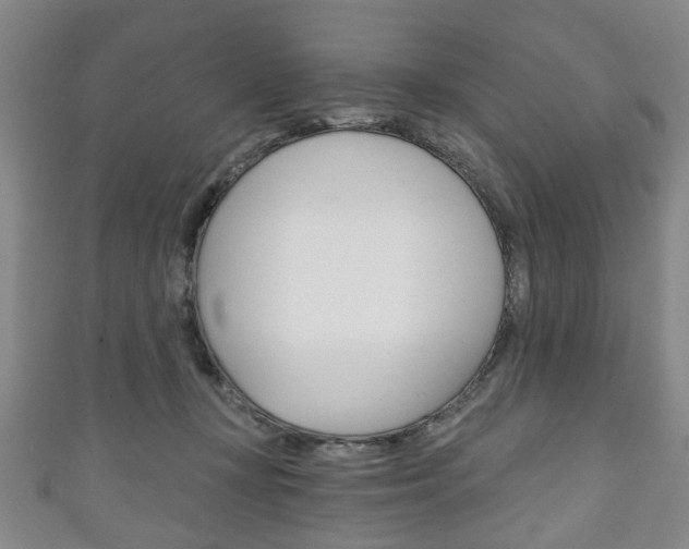 X0000111240367200907021004