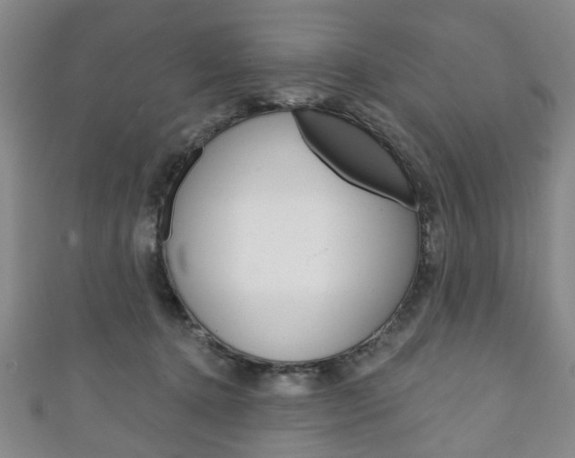 X0000111240368200907021004