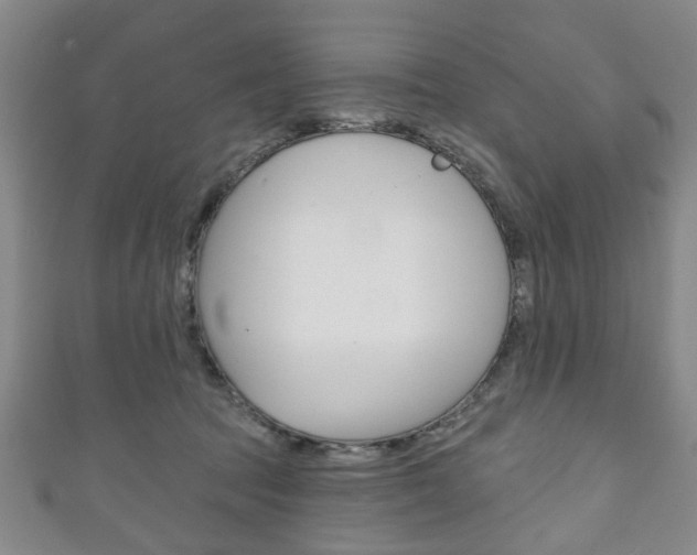 X0000111240369200907021004