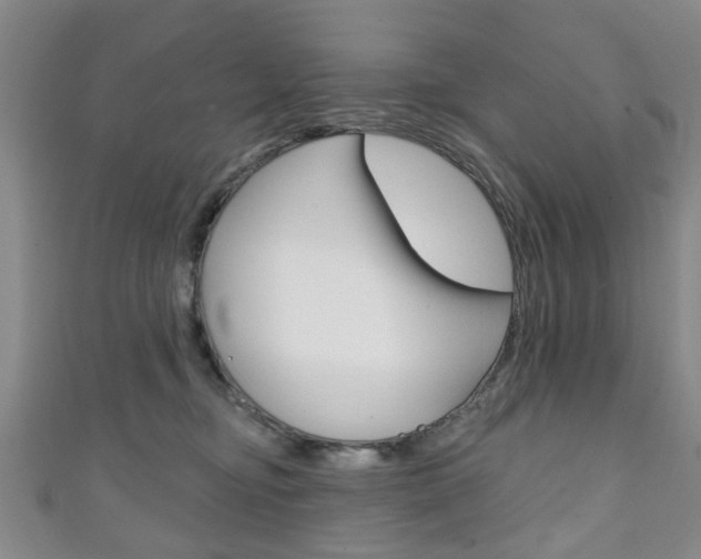 X0000111240374200907021004