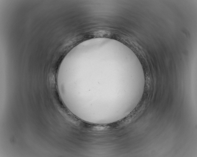 X0000111240375200907021004