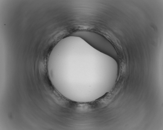 X0000111240376200907021004