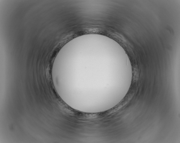 X0000111240377200907021004