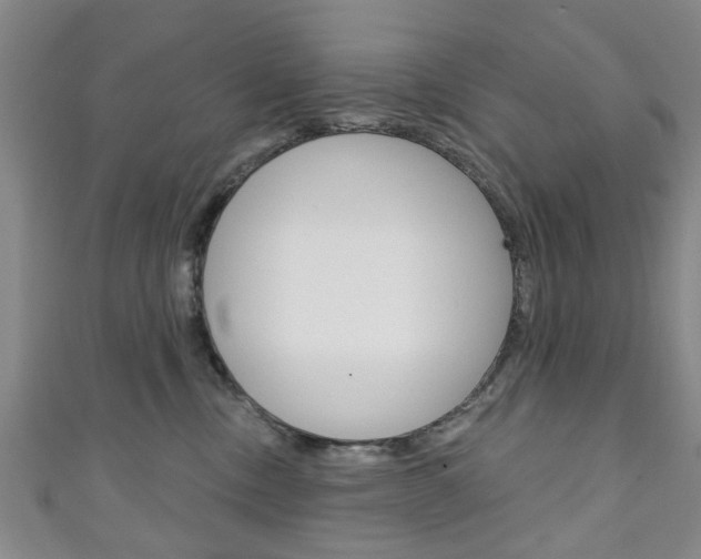 X0000111240378200907021004