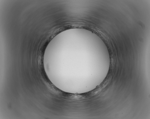 X0000111240379200907021004