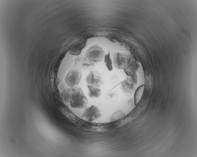 X0000111240381200907021004