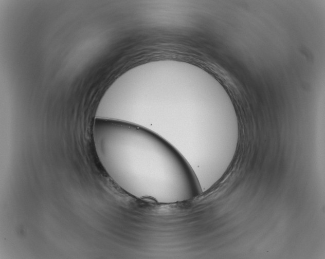 X0000111240382200907021004