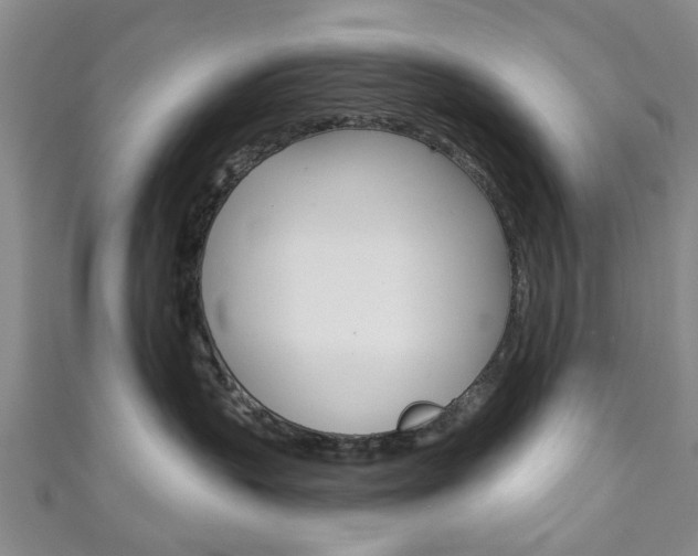 X0000111240383200907021004