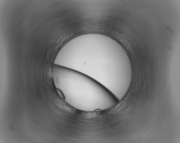 X0000111240384200907021004