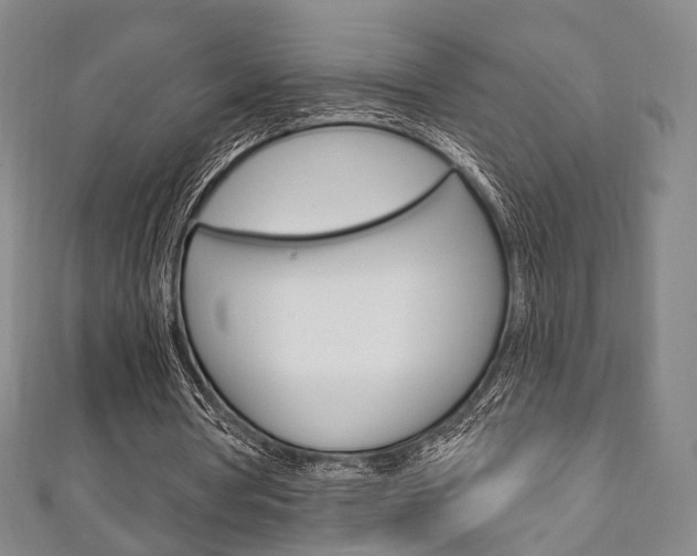 X0000111240386200907021003