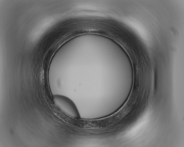 X0000111240387200907021003