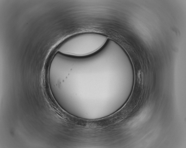 X0000111240388200907021003