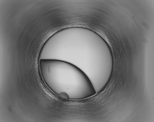 X0000111240389200907021003