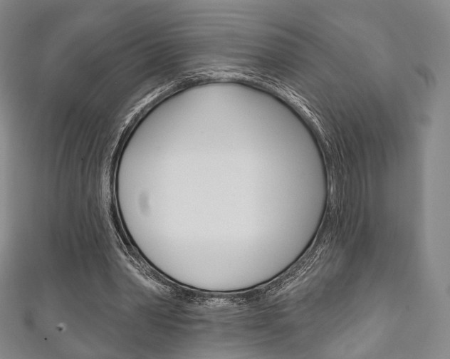 X0000111240390200907021003