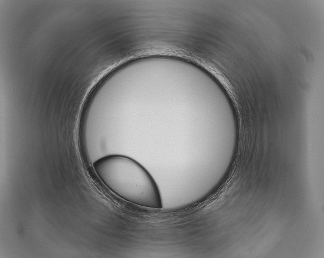 X0000111240391200907021003