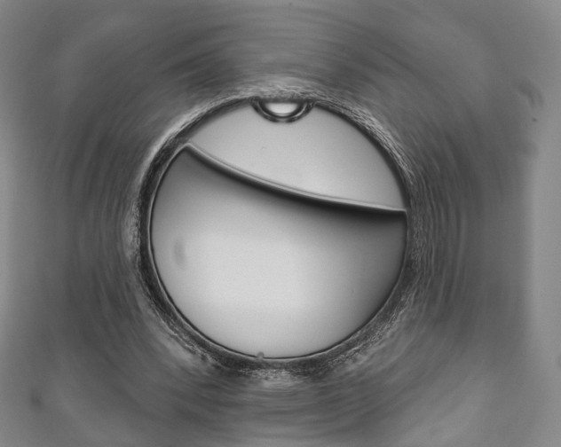 X0000111240392200907021003