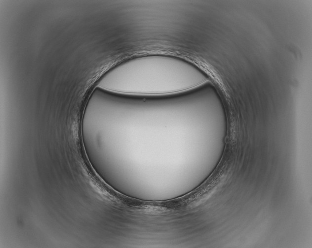 X0000111240393200907021003