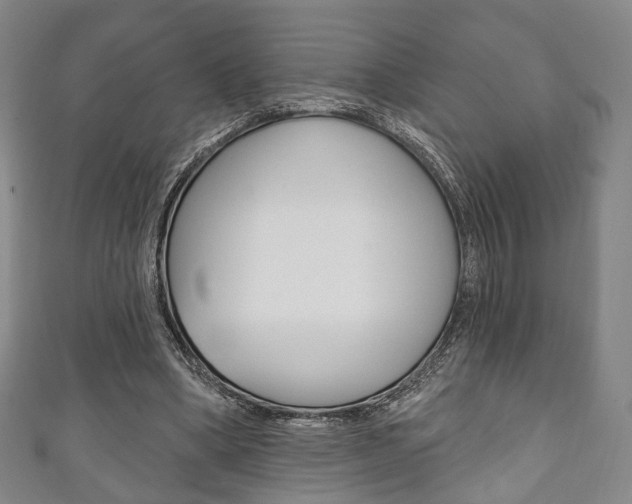 X0000111240394200907021003