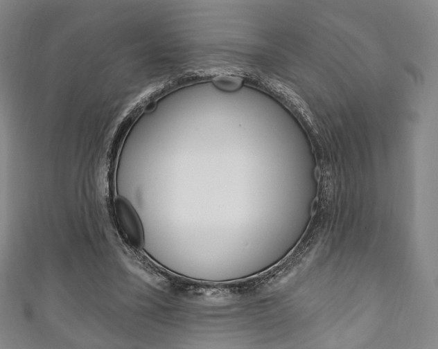 X0000111240395200907021003