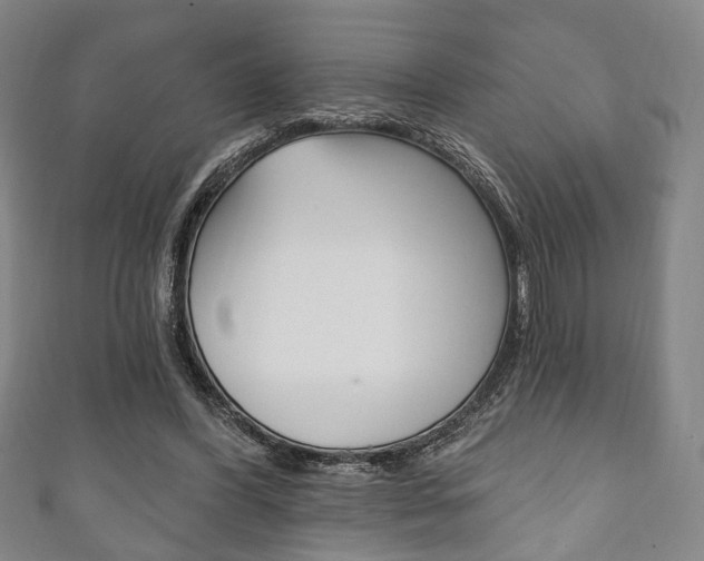 X0000111240396200907021003