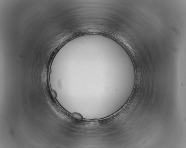 X0000111240398200907021003