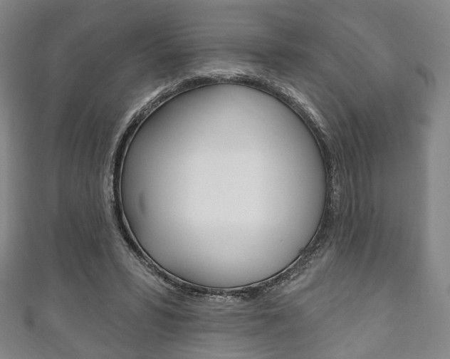 X0000111240399200907021003