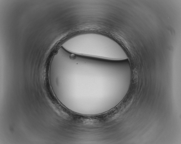 X0000111240400200907021003