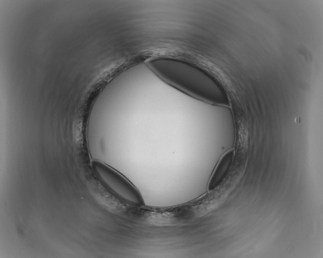 X0000111240403200907021003