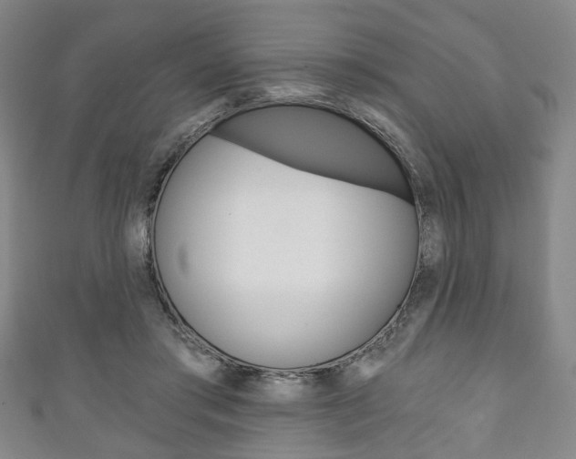 X0000111240405200907021003