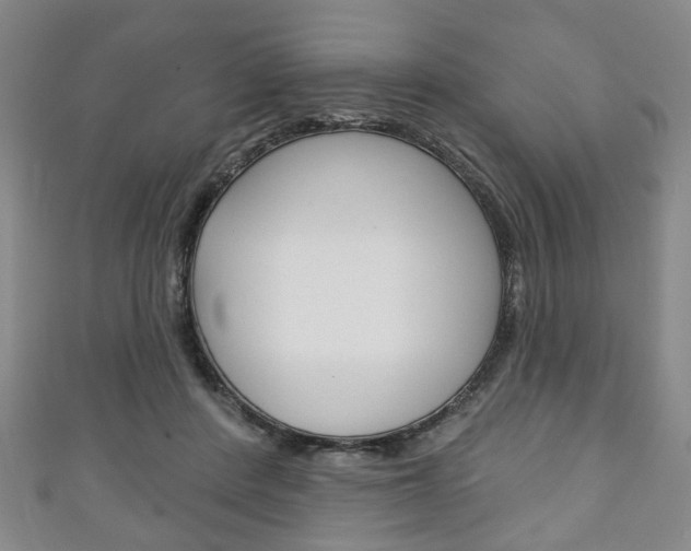 X0000111240408200907021003