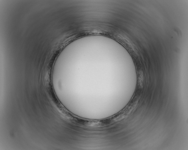 X0000111240410200907021003