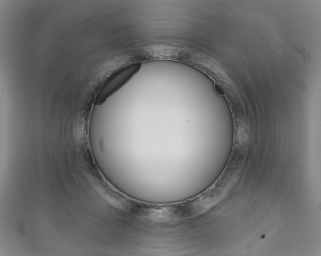 X0000111240411200907021003