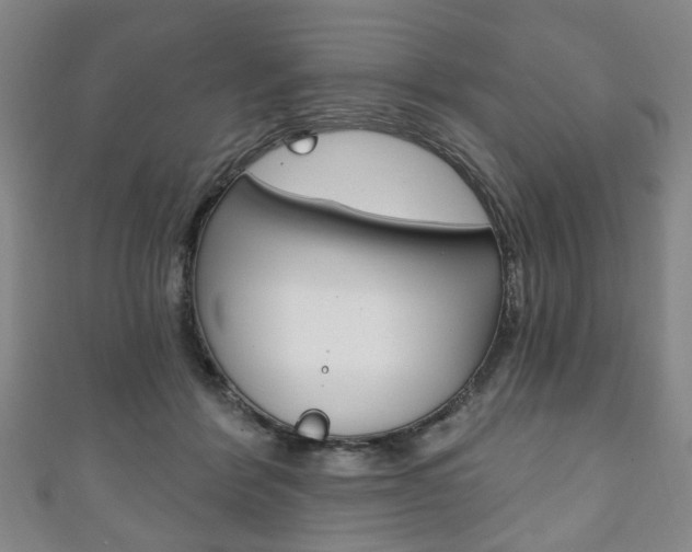 X0000111240412200907021003