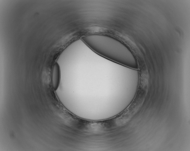 X0000111240413200907021003