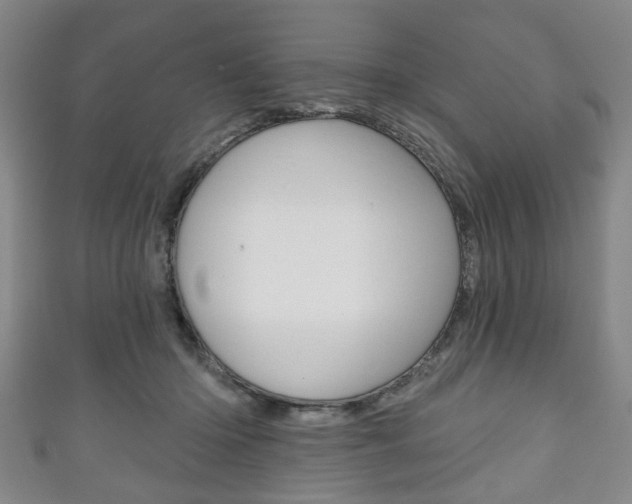 X0000111240414200907021003