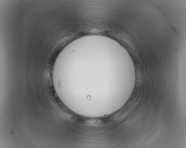 X0000111240415200907021003