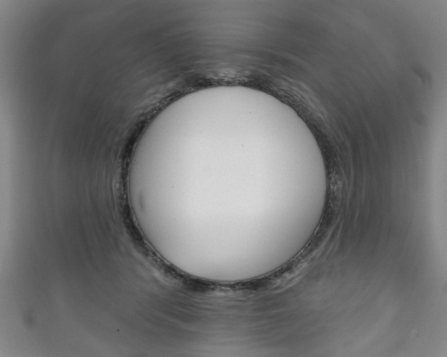 X0000111240416200907021003