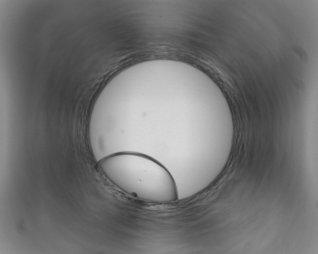 X0000111240417200907021003