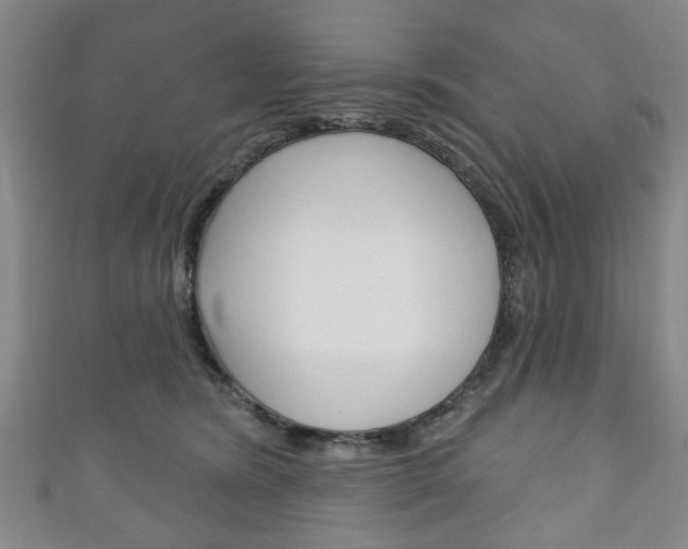 X0000111240420200907021003